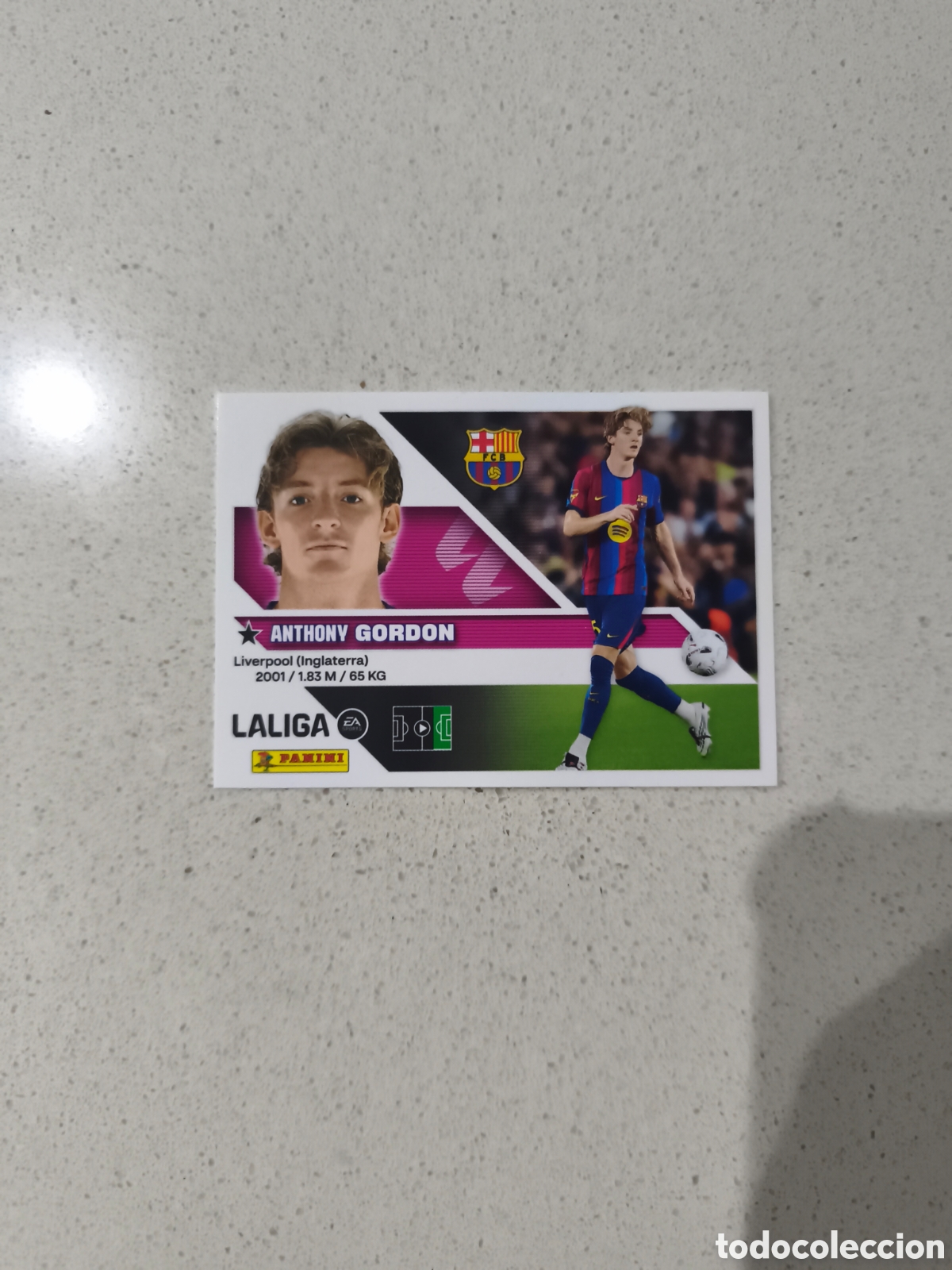 Cromos de f&uacute;tbol: CROMO N&Uacute;MERO 24 &Uacute;LTIMO FICHAJE GORDON FC BARCELONA. LIGA ESTE 26/27. PANINI.