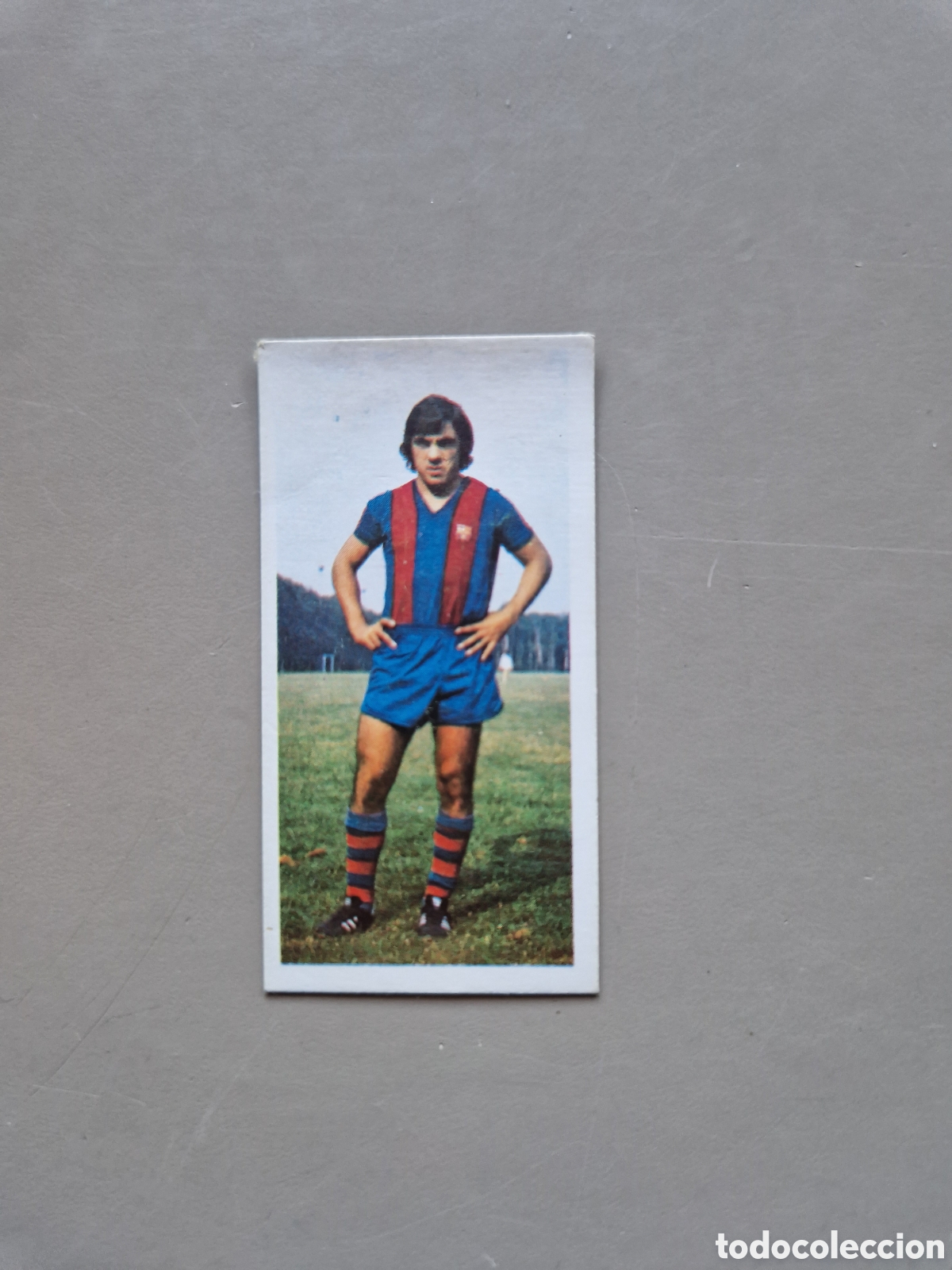 Cromos de f&uacute;tbol: CROMO DIFICIL LIGA ESTE 75 76 1975 1976 FICHAJE 29 FORTES BARCELONA