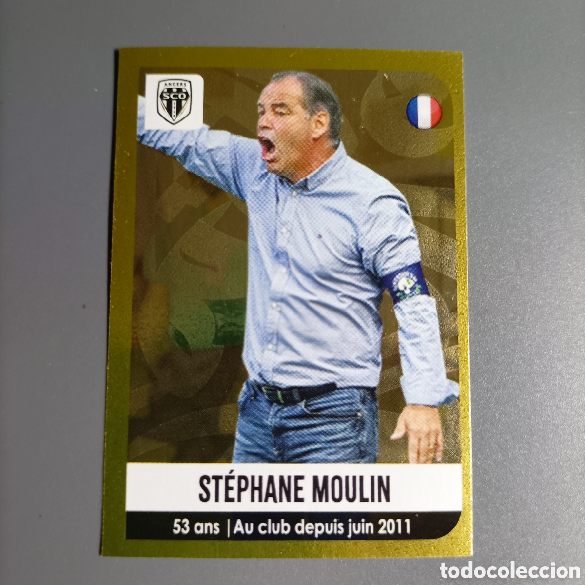 Cromos de Futebol: PANINI FOOT 2020-2021, LIGUE 1 FRANCIA (ANGERS SCO) №32