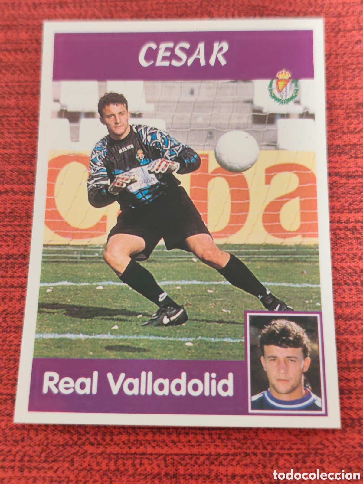 Cromos de f&uacute;tbol: 97 C&Eacute;SAR REAL VALLADOLID PANINI LIGA 1997 1998