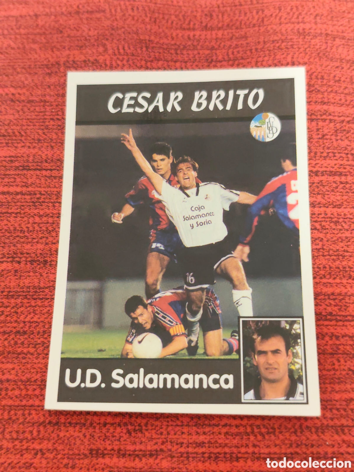 Cromos de f&uacute;tbol: 303 C&Eacute;SAR BRITO SALAMANCA PANINI LIGA 1997 1998