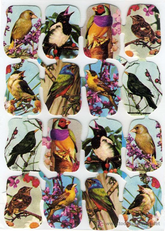 Collectable Antique Stamped Cards: 1 L&Aacute;MINA DE CROMOS TROQUELADOS kR&Uuml;GER N&ordm; 171/301
