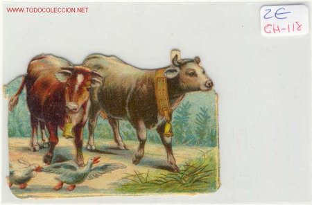 Colecionismo Cromos recortados antigos: (ch-118)CROMO PRINCIPIOS DE SIGLO