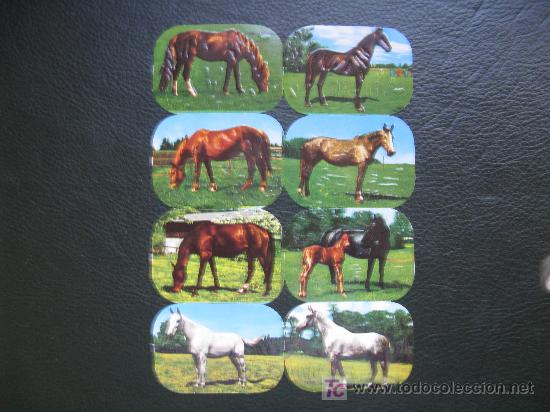 Coleccionismo cromos troquelados antiguos: pliego de cromos troquelados - Foto 1