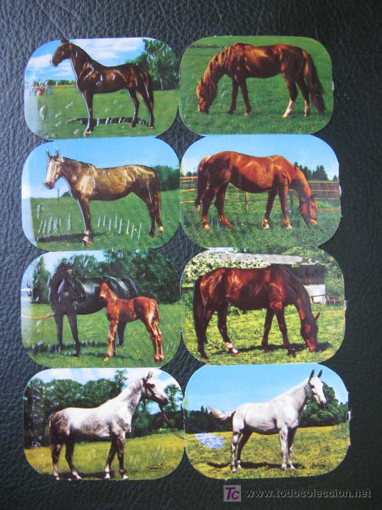 Coleccionismo cromos troquelados antiguos: pliego de cromos troquelados - Foto 1