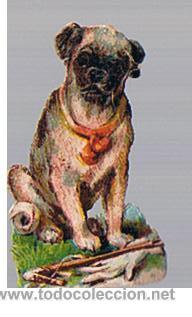 Coleccionismo cromos troquelados antiguos: Cromo (7x4cm). Cllicida M. Matute. - Foto 1