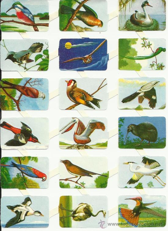 Coleccionismo cromos troquelados antiguos: LAMINA DE CROMOS TROQUELADOS - Foto 1