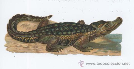 Coleccionismo Cromos troquelados antiguos: CROMO TROQUELADO. COCODRILO. 12 CM.