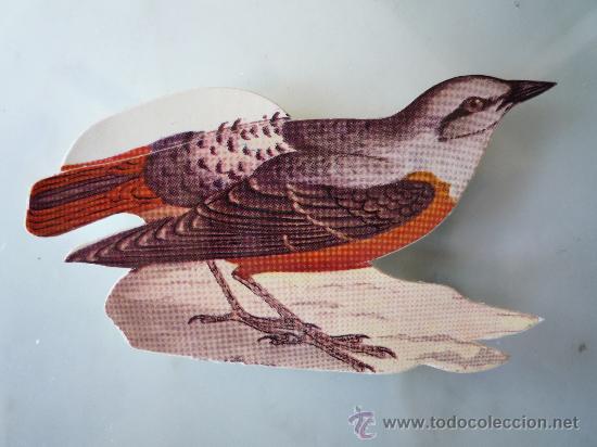 Sammeln alte gestanzte Sammelbilder: Cromo troquelado pegatina PANRICO 1972. N&ordm; 39 P&aacute;jaro ROQUERO ROJO. Colecci&oacute;n 96 autoadhesivos.