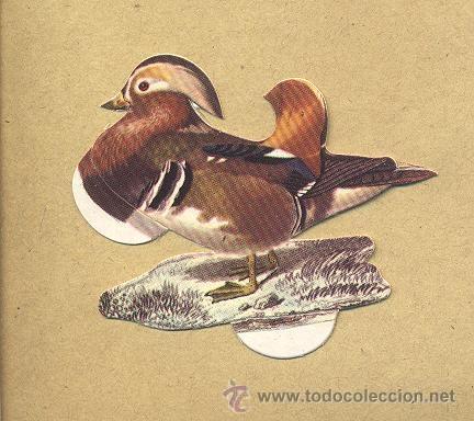 Collezionismo Figurine ritagliate antiche: Cromo troquelado Panrico, n&ordm; 29 Pato Mandarin