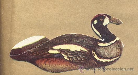 Collezionismo Figurine ritagliate antiche: Cromo troquelado Panrico, n&ordm; 20 Pato Arlequin