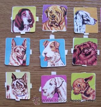 Coleccionismo cromos troquelados antiguos: Lote Cromos Troquelados Perros - Foto 2