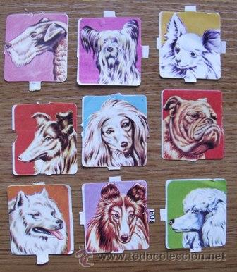 Coleccionismo cromos troquelados antiguos: Lote Cromos Troquelados Perros - Foto 3