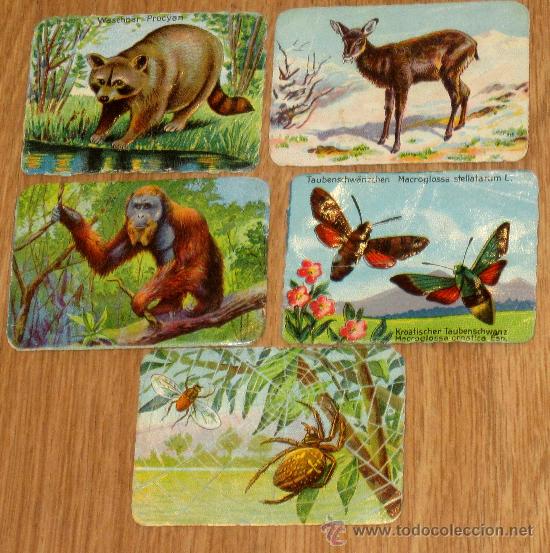 Collezionismo Figurine ritagliate antiche: LOTE DE 5 CROMOS TROQUELADOS LA PRIMITIVA INDIANA A&Ntilde;OS 40