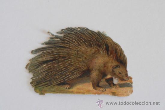 Sammeln alte gestanzte Sammelbilder: Cromo troquelado, principios siglo XX. Puercoesp&iacute;n.