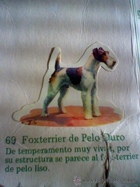 Collezionismo Figurine ritagliate antiche: cromo troquelado recuperado tus amigos perros Panrico premium n&ordm; 69 Foxterrier leer