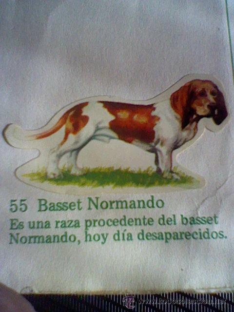Collezionismo Figurine ritagliate antiche: cromo troquelado recuperado tus amigos perros Panrico premium n&ordm; 55 BASSET NORMANDO leer