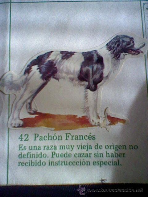 Collezionismo Figurine ritagliate antiche: cromo troquelado recuperado tus amigos perros Panrico premium n&ordm; 42 PACHON FRANCES leer
