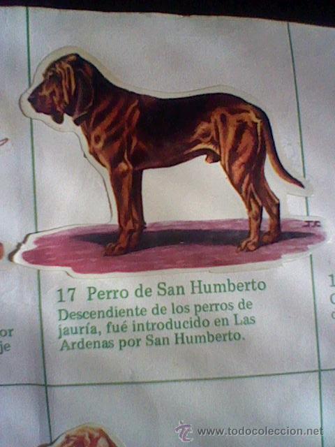 Coleccionismo cromos troquelados antiguos: cromo troquelado recuperado tus amigos perros Panrico premium n&ordm; 17 PERRO HUMBERTO leer