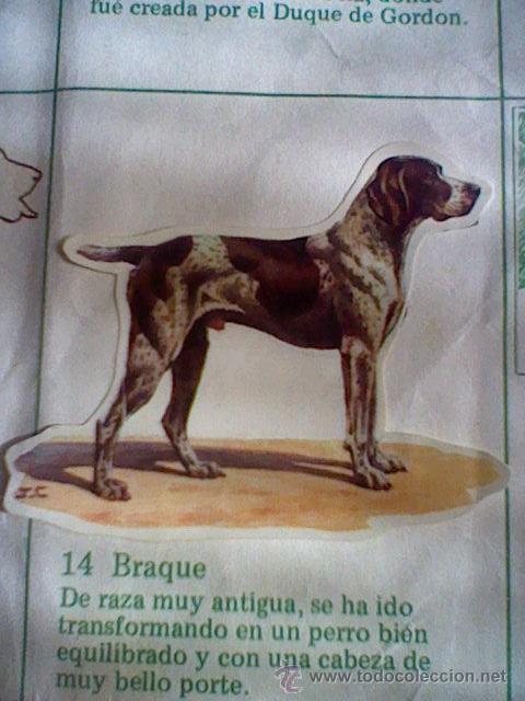 Coleccionismo cromos troquelados antiguos: cromo troquelado recuperado tus amigos perros Panrico premium n&ordm; 14 BRAQUE leer