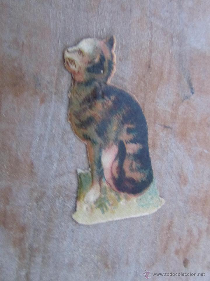 Coleccionismo cromos troquelados antiguos: CROMO GATO - Foto 1
