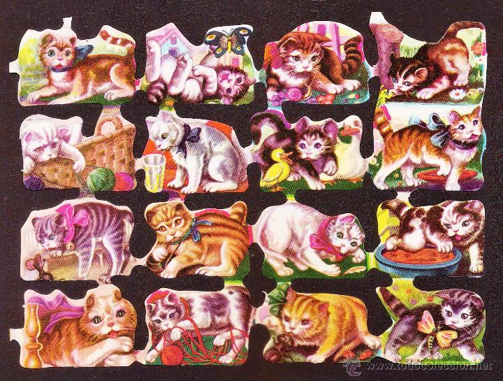 Sammeln alte gestanzte Sammelbilder: lamina cromo troquelado / de picar - razas de gatos - ed. fher - sin estrenar - a&ntilde;os 70
