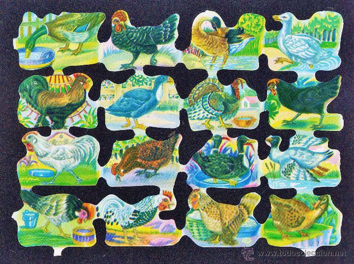 Collectionnisme Cartes &agrave; collectionner massicot&eacute;es anciennes: cromo troquelado / de picar - aves domesticas - ed. fher - sin estrenar - a&ntilde;os 70