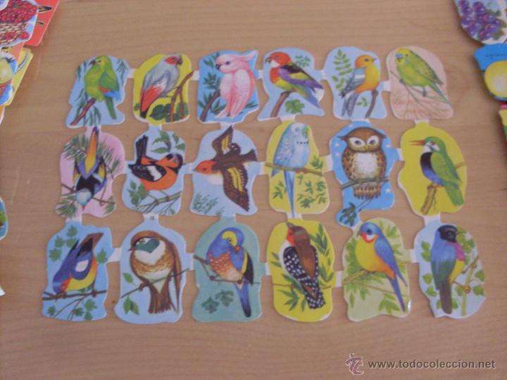 Collectionnisme Cartes &agrave; collectionner massicot&eacute;es anciennes: LAMINA CROMOS TROQUELADOS CON 18 CROMOS PAJAROS (TRO13)