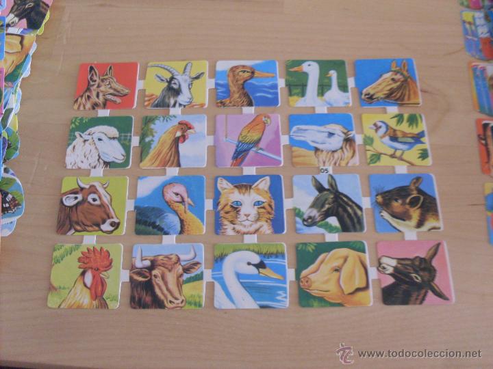 Collectionnisme Cartes &agrave; collectionner massicot&eacute;es anciennes: LAMINA CROMOS TROQUELADOS CON 20 CROMOS BOGA 205 (TRO13)