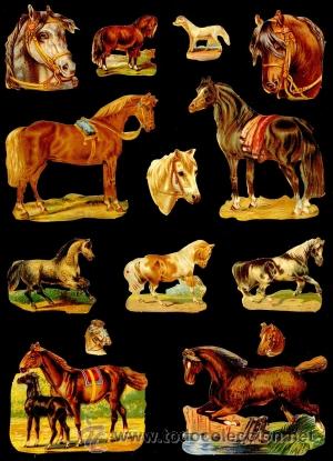 Sammeln alte gestanzte Sammelbilder: CROMOS TROQUELADOS EF SERIE ST- 7211.GRUESO ESPESOR GRAN RELIEVE Y BRILLO.