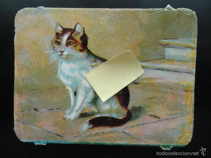 Collectionnisme Cartes &agrave; collectionner massicot&eacute;es anciennes: cromo de palma gijon troquelado animal domestico gato felino infantil chicas ni&ntilde;as