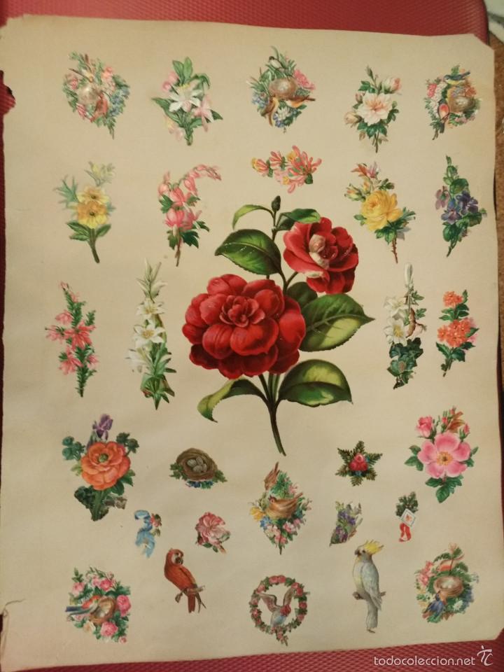 Sammeln alte gestanzte Sammelbilder: Lote de 25 cromos troquelados con tema de flores, el mas grande 13 x 6 cm
