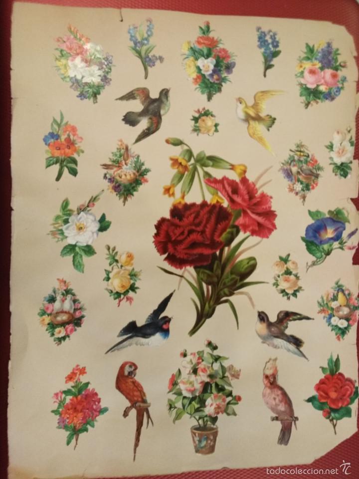 Sammeln alte gestanzte Sammelbilder: Lote de unos 20 cromos troquelados con tema de flores y p&aacute;jaros, el mas grande 13 x 6 cm