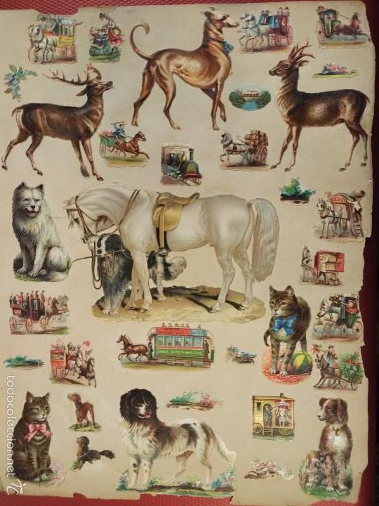 Collectable Antique Stamped Cards: Lote de unos 22 cromos troquelados perros, caballos, transportes, etc El mas grande mide 12 x 8 cm