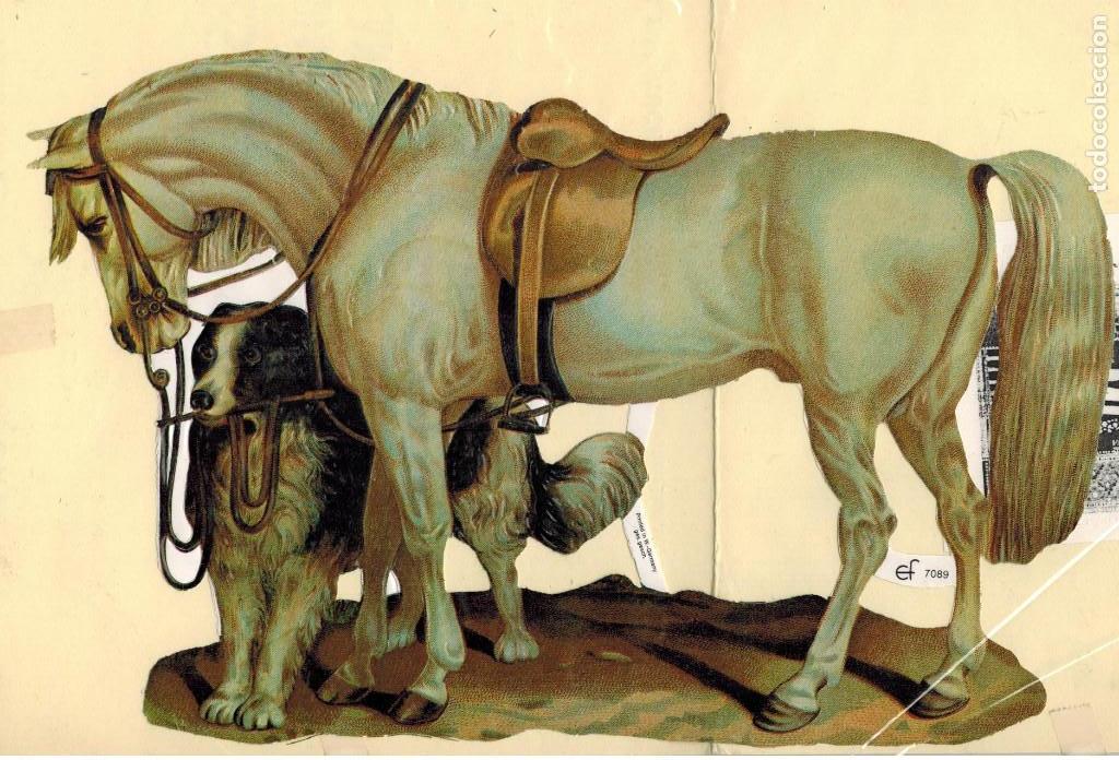Collectionnisme Cartes &agrave; collectionner massicot&eacute;es anciennes: GRAN CROMO ALEMAN CABALLO CON PERRO
