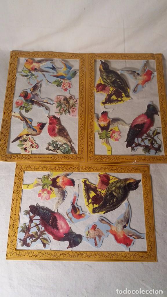 Colecionismo Cromos recortados antigos: LOTE COLECCION DE LAMINAS CROMO CROMOS TROQUELADOS DE GRAN TAMA&Ntilde;O, ENTRA TODO. MEDIDAS FOTOGRAFIADAS