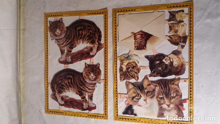 Colecionismo Cromos recortados antigos: LOTE COLECCION DE LAMINAS CROMO CROMOS TROQUELADOS DE GRAN TAMA&Ntilde;O, ENTRA TODO. MEDIDAS FOTOGRAFIADAS