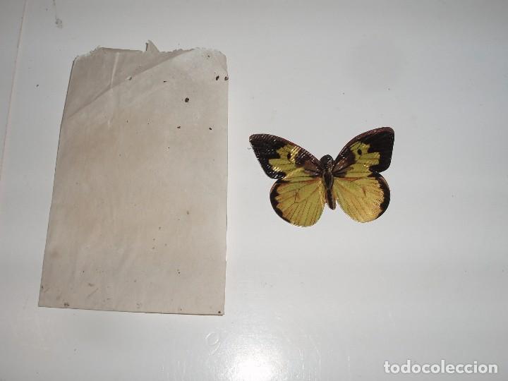 Colecionismo Cromos recortados antigos: CROMO NUEVO N&ordm; 54 ALBUM MARIPOSAS PANRICOY SOBRE