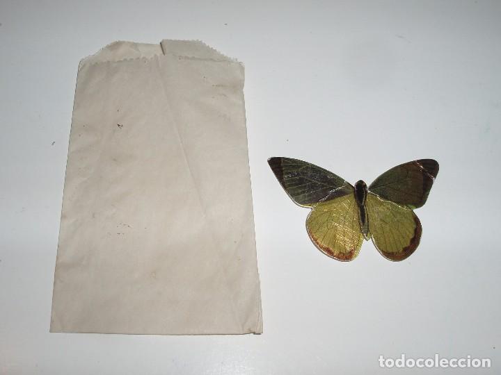 Colecionismo Cromos recortados antigos: CROMO NUEVO N&ordm; 76 Y SOBRE DEL ALBUM MARIPOSAS BELLAS PANRICO