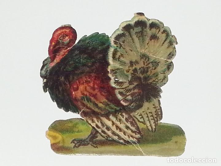 Colecionismo Cromos recortados antigos: ANTIGUO CROMO TROQUELADO ESPA&Ntilde;OL DE FINALES SIGLO XIX PPIOS SIGLO XX PAVO REAL