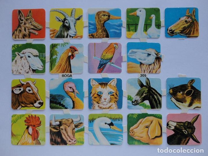 Collectable Antique Stamped Cards: L&Aacute;MINA DE CROMOS TROQUELADOS BOGA 205.CON BRILLO Y RELIEVE.FALTA 1 CROMO.