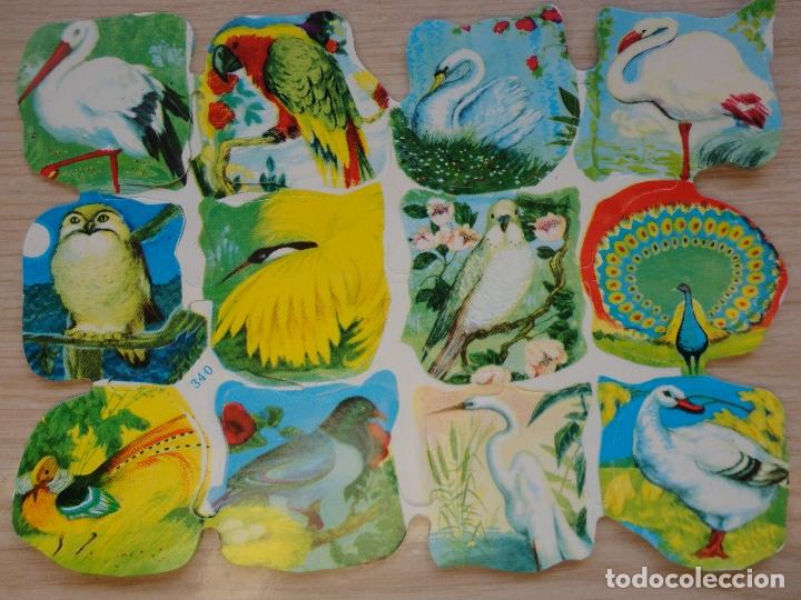 Sammeln alte gestanzte Sammelbilder: L&Aacute;MINA DE CROMOS TROQUELADOS ESPA&Ntilde;OLES FHER ( FB ).
