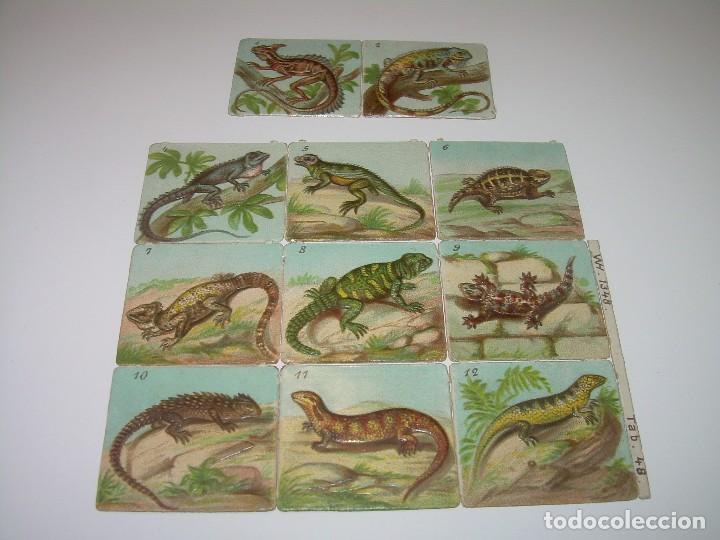 Coleccionismo cromos troquelados antiguos: ANTIGUOS CROMOS. - Foto 1