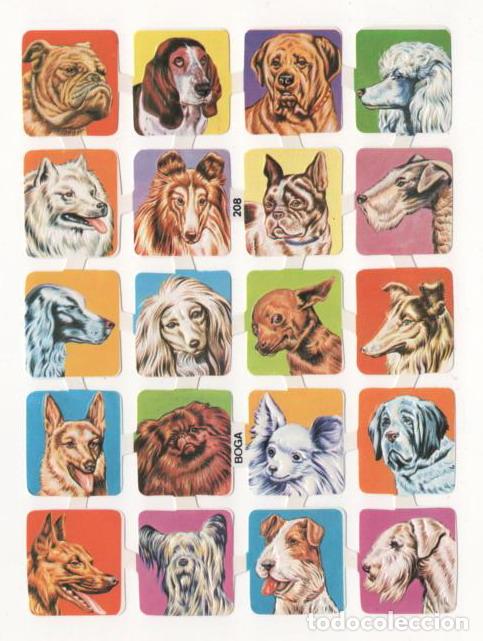 Coleccionismo Cromos troquelados antiguos: (ALB-TC-10) HOJA CROMOS TROQUELADOS PICAR