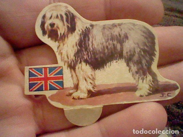 Colecionismo Cromos recortados antigos: panrico cromo sin pegar nunca perros n&ordm; 59 bobtail