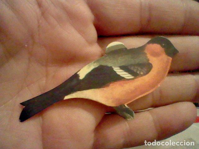 Colecionismo Cromos recortados antigos: panrico cromo sin pegar nunca pajaros n&ordm; 57  camachuelo com&uacute;n