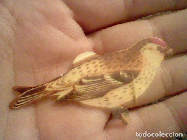 Colecionismo Cromos recortados antigos: panrico cromo sin pegar nunca pajaros n&ordm; 95 pardillo
