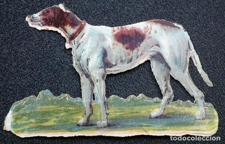Collectable Antique Stamped Cards: CROMO TROQUELADO A PRINCIPIOS DEL A&Ntilde;O 1900