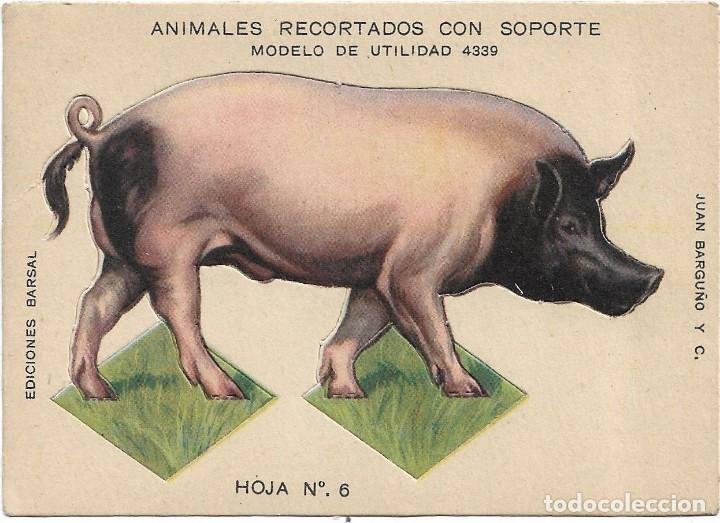 Sammeln alte gestanzte Sammelbilder: JUAN BARGU&Ntilde;&Oacute; Y C. EDICIONES BARSAL .- ANIMALES RECORTADOS CON SOPORTE CERDO N&ordm; 6