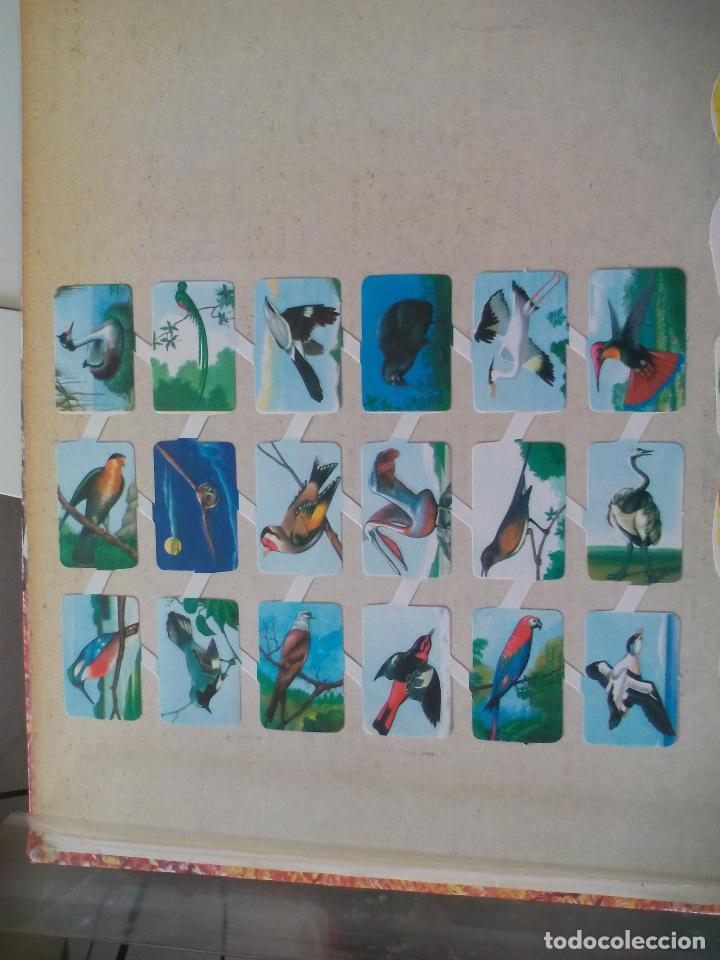 Colecionismo Cromos recortados antigos: AVES, P&Aacute;JAROS. LAMINA DE CROMOS TROQUELADOS CREO QUE DE EDIVAS